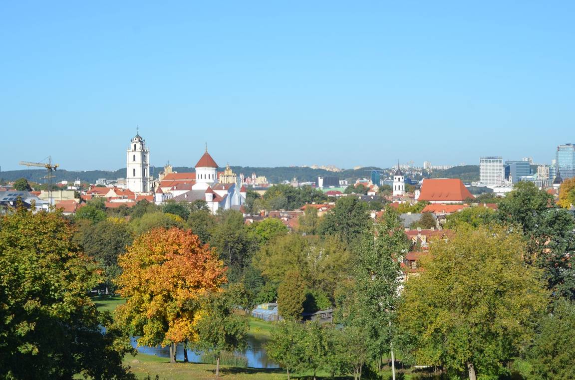 Vilniuje kyla Žalioji banga – sodinami šimtai tūkstančių medžių, milijonai krūmų ir vijoklių