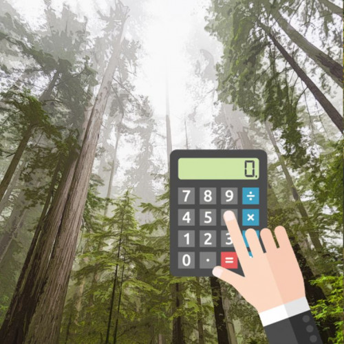 Valstybinių miškų urėdija diegia naujus medienos matavimo metodus – tai leis medieną matuoti skaidriau ir patikimiau