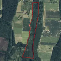 Panevėžio apskr. 38.6 ha