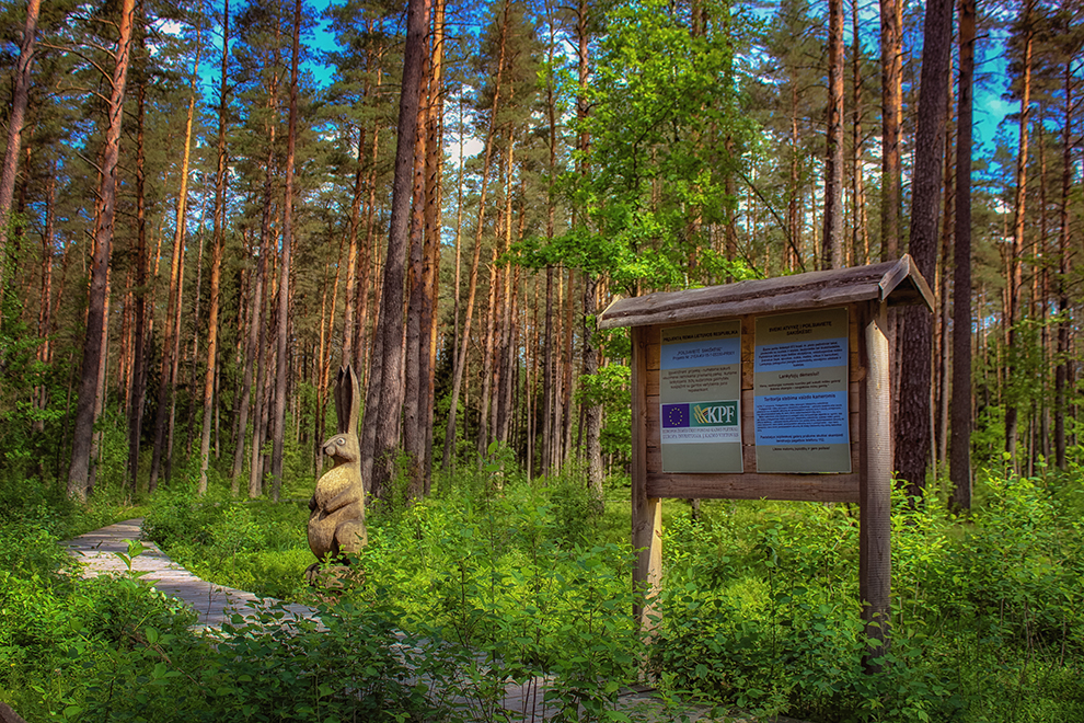 Sakiškės - daugiausiai miško takų Vilniaus apylinkėse turintis kaimas