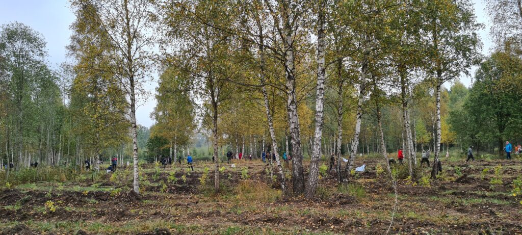 Karalgiryje pasodinta 6600 ąžuolų giria P. Plechavičiui atminti